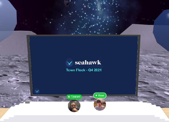 Virtual-Town-Flock-Q4-01