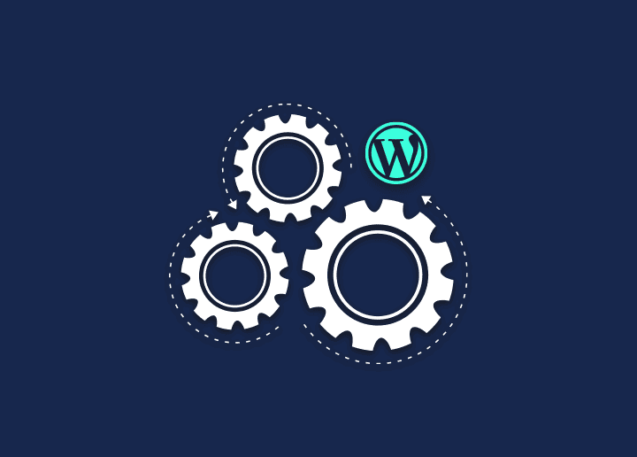 What is wp config