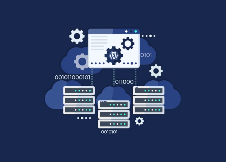 What Is Staging In Wordpress Terms copy