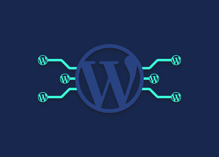 What is WordPress Multisite