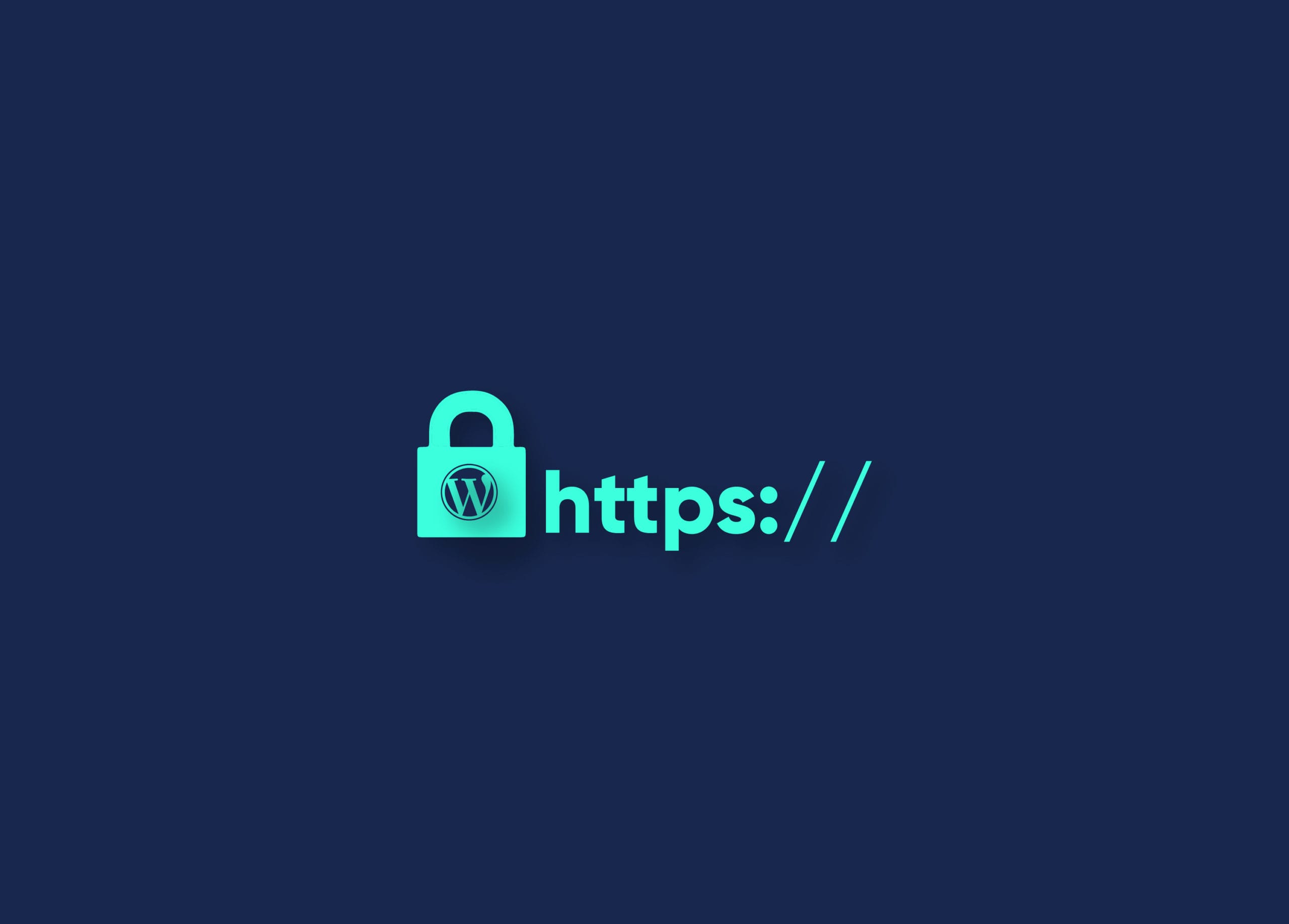 https in wordpress 12 12 scaled