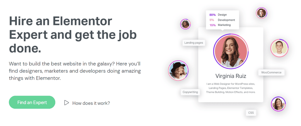 image-1 - Seahawk elementor-experts-web-designers-developers-network