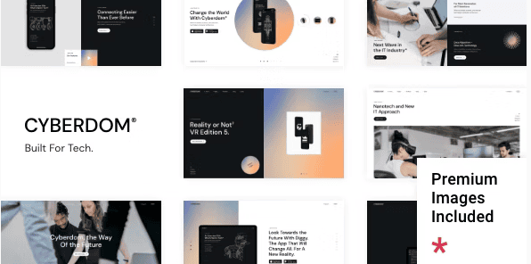 cyberdom-wordpress-theme-for-saas - Seahawk cyberdom-wordpress-theme-for-saas