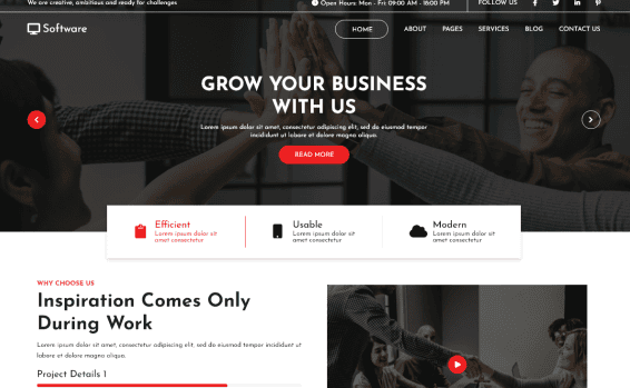 software-company-elementor-wordpress-theme - Seahawk software-company-elementor-wordpress-theme