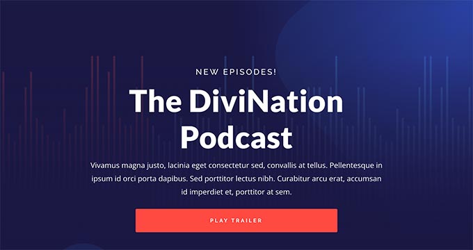 IMG_0646 - Seahawk Divi - WordPress podcast theme