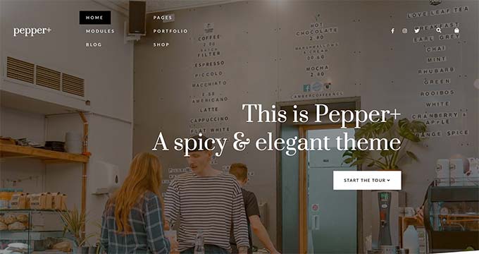 IMG_0648 - Seahawk Pepper+ - Podcast WordPress theme