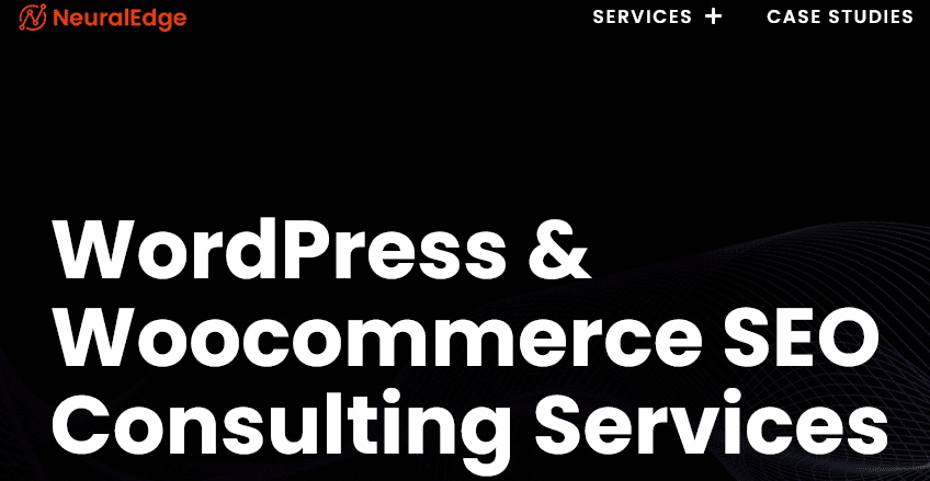 Neural-Edge - Seahawk neural-edge-wordpress-consulting-company