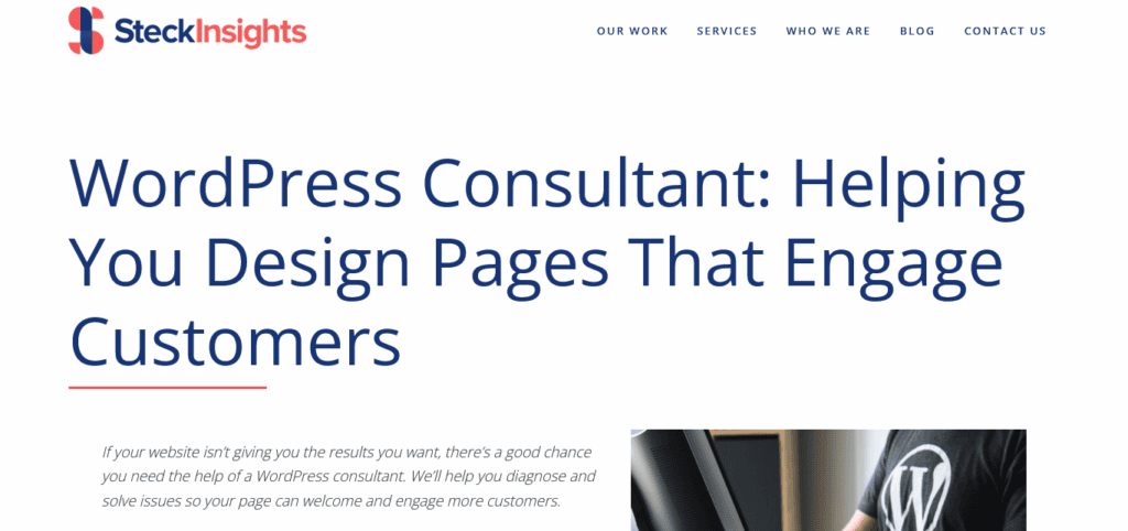 Steckinsights - Seahawk steckinsights-wordpress-consultant