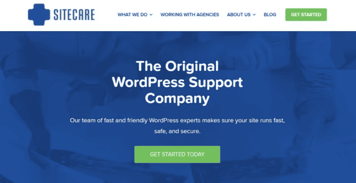 Wpsitecare - Seahawk WP Site Care