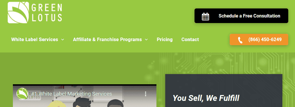 - Seahawk green-lotus-marketing