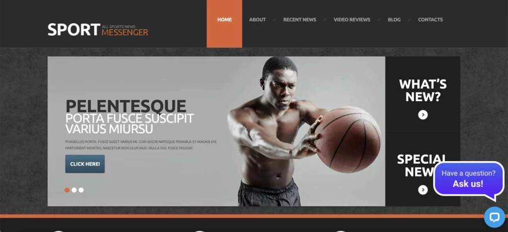 WordPress-sports-theme-Sports-News- - Seahawk WordPress-sports-theme-Sports-News