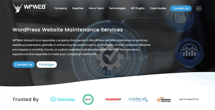 wpweb-infotech