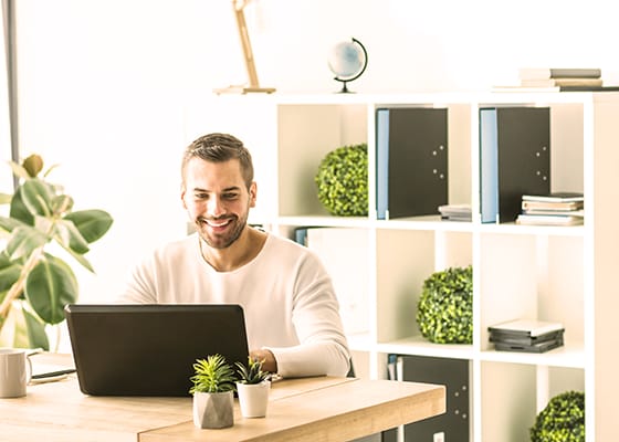 Full-Service SEO Solutions - Seahawk