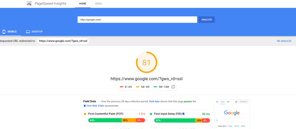 IMG_0764 - Seahawk PageSpeed Insights-website speed test tools
