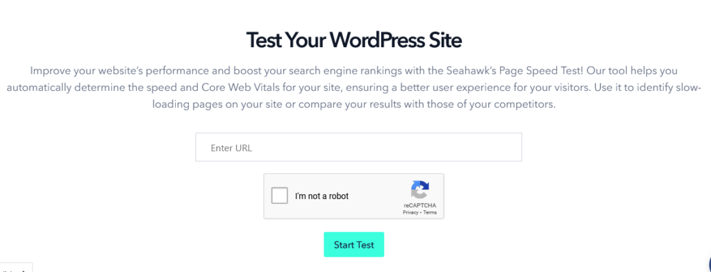 free-website-speed-test-tool-seahawk
