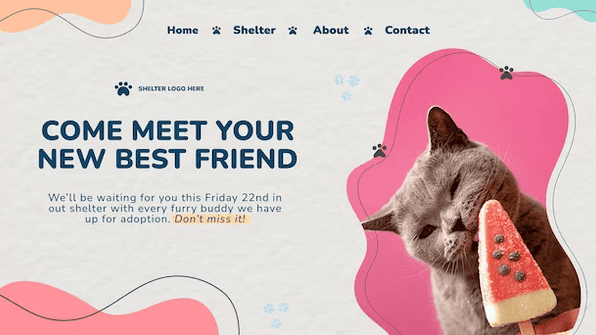 theme-layout-page-builder