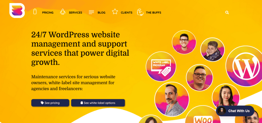 wp-buffs-wordpress-website-management