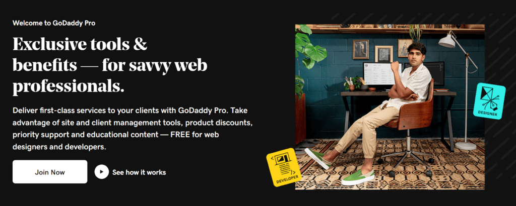 GoDaddy-Pro - Seahawk GoDaddy Pro