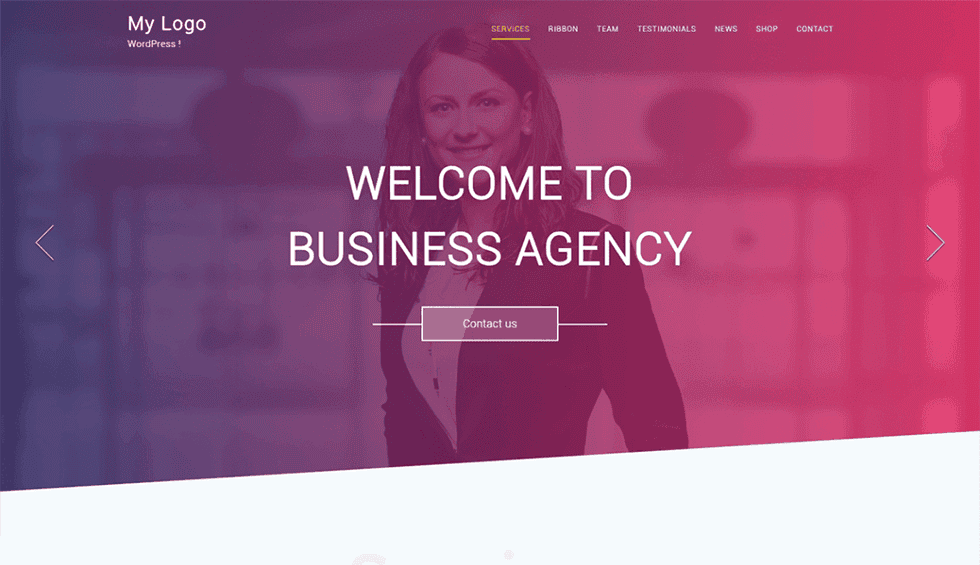 IMG_0777 - Seahawk One page agency- best wordpress agency theme