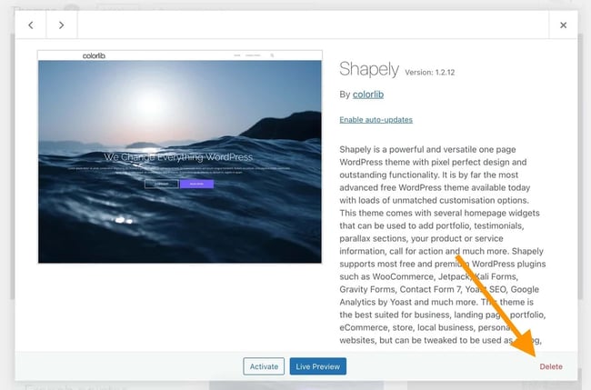 Deleting-a-WordPress-theme - Seahawk Deleting a WordPress Theme