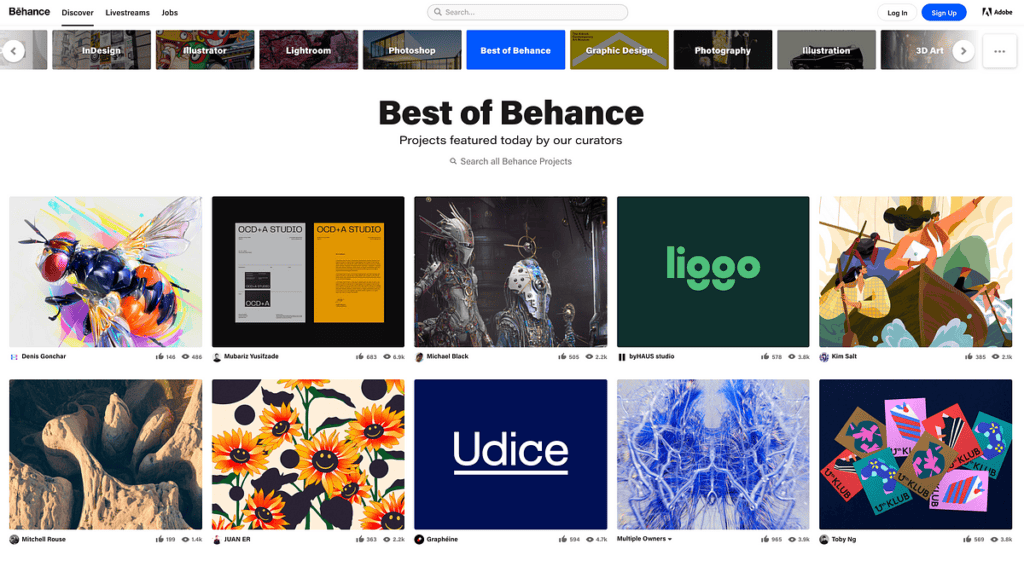 UX design portfolios