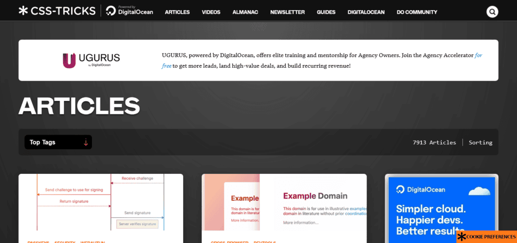 css-tricks-web-development-design-resource-wordpress-site - Seahawk css-tricks-web-development-design-resource-wp-site-example