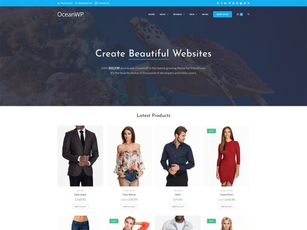 life coach wordpress themes