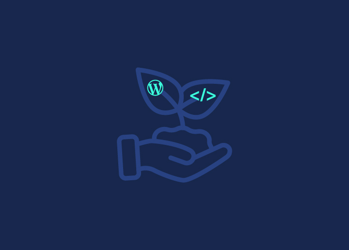 Set Up A WordPress Development Environment