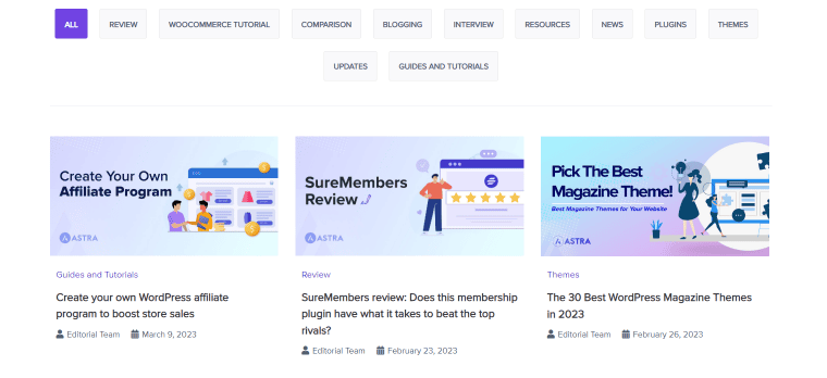 astra-blog-1x - Seahawk Astra WordPress blog
