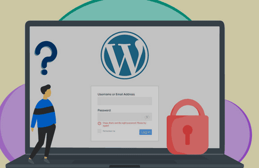 locked-out-of-wordpress-admin-area - Seahawk locked-out-of-wordpress-admin-area