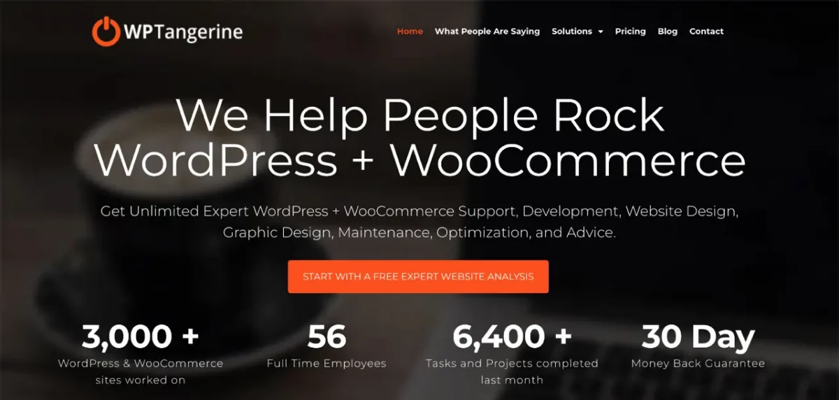 wptangerine - Seahawk wp-tangerine-wordpress-consultancy-provider