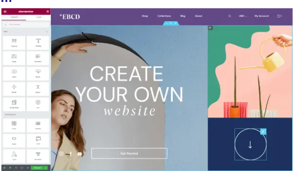 Elementor-static-website-plugin - Seahawk Elementor-static-wordpress-site-plugin