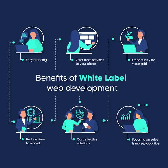 IMG_0801 - Seahawk White Label Web Development Benefits
