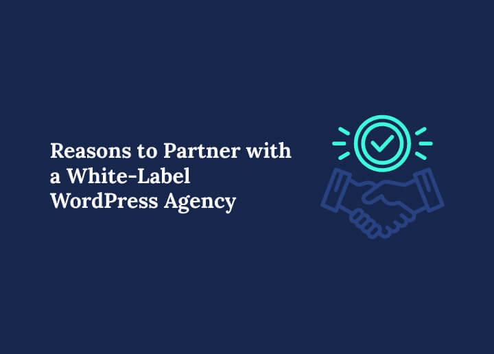 Reasons to Partner with a White Label WordPress Agency