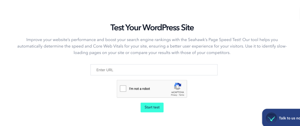 Seahawk-speed-test-tool-1024x432-2 - Seahawk website speed test tool