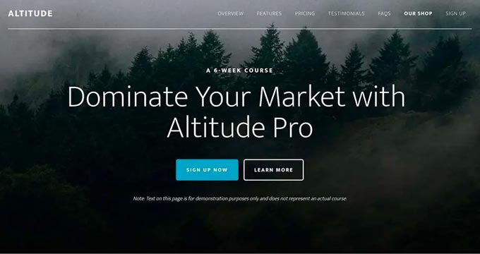 Financial WordPress Themes