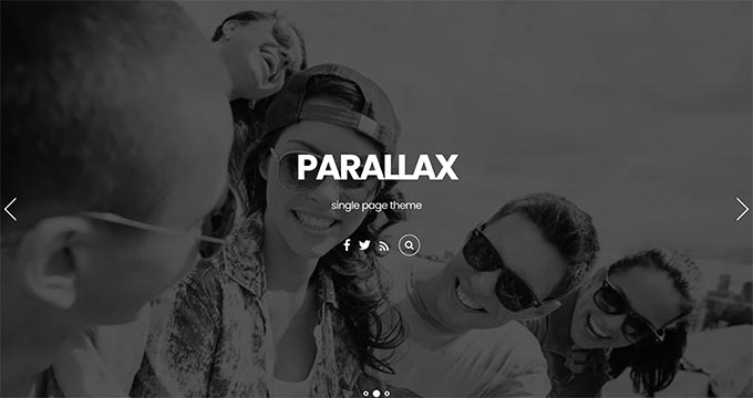 Financial WordPress Themes
