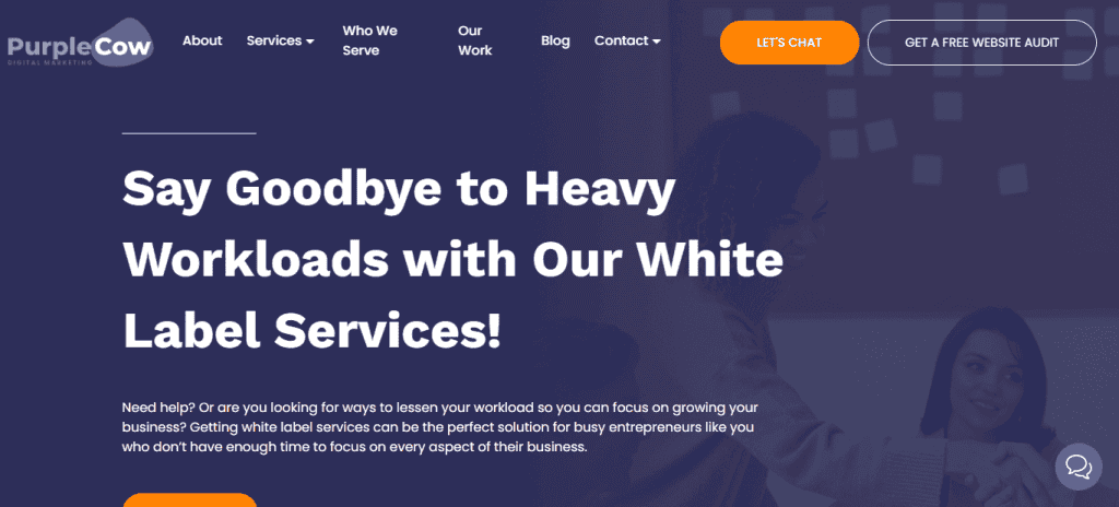 - Seahawk purplecow.digital-white-label-services