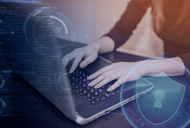 wordpress-website-security - Seahawk wordpress-website-security
