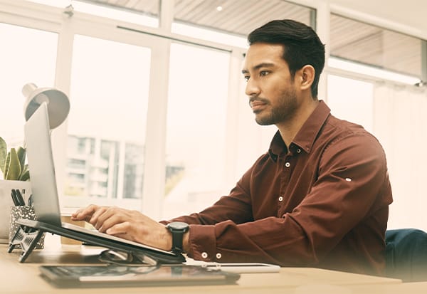 Get Professional WordPress Support - Seahawk