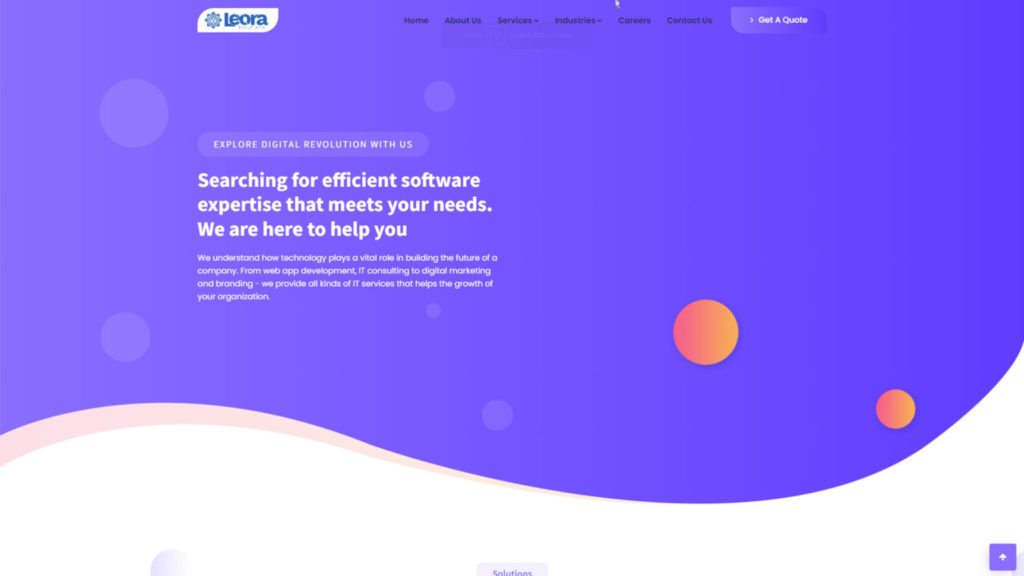Leora-solutions - Seahawk Best Web Development Company In Dubai