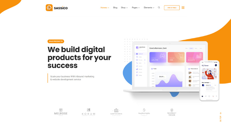 Sassico-WordPress-Theme - Seahawk Sassico-WordPress-Theme