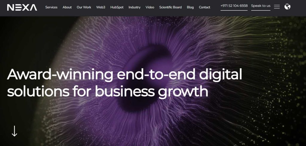 best-web-design-agencies-in-dubai-Nexa - Seahawk best-web-design-agency-in-dubai-Nexa