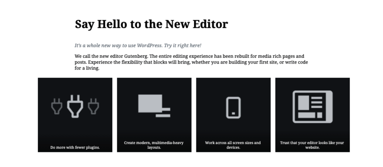 gutenberg-editor