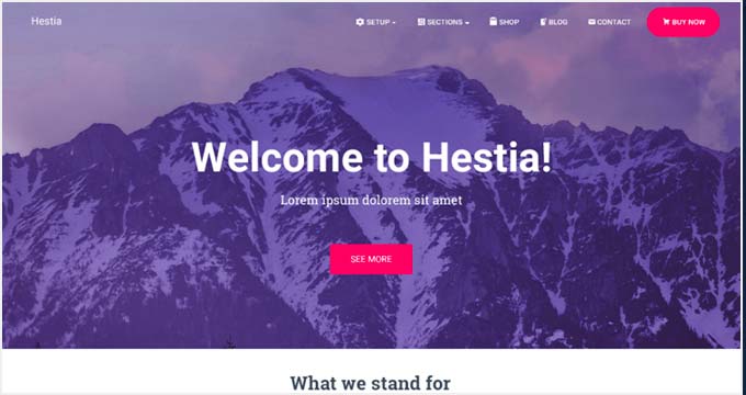life coach wordpress themes