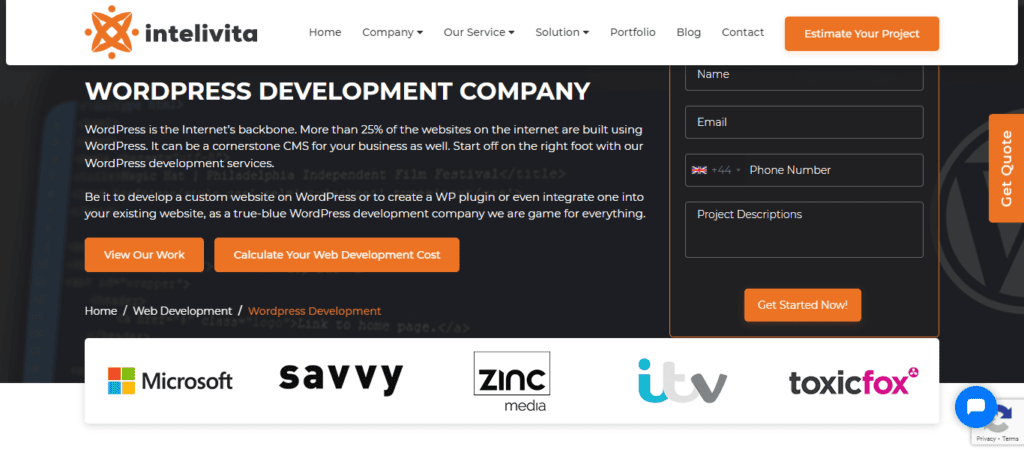 intelivita-wordpress-development-services - Seahawk intelivita-wordpress-development-services