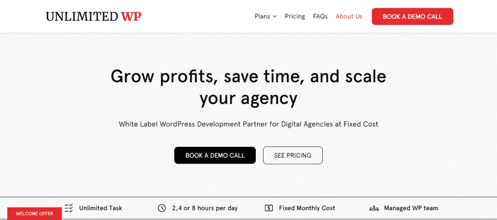 unlimitedwp-white-label-wordpress-development-services-for-digital-agencies