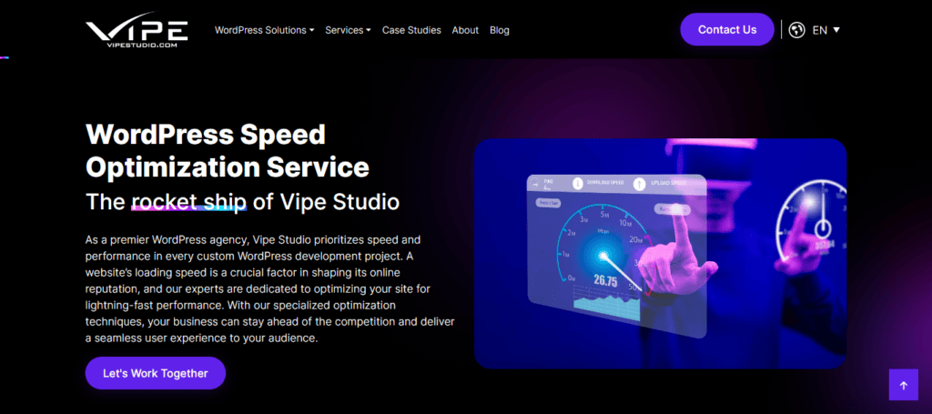 vipestudio-wordpress-speed-optimization-service - Seahawk vipestudio-wordpress-speed-optimization-service