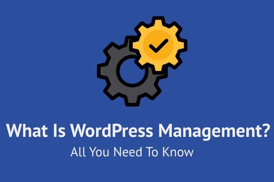 what-is-WP-managemnet - Seahawk What-is-WordPress-management