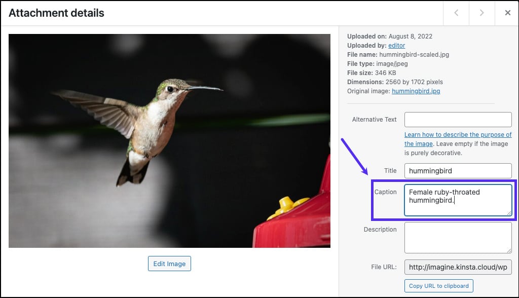 Descriptive image captions for WordPress Accessibility